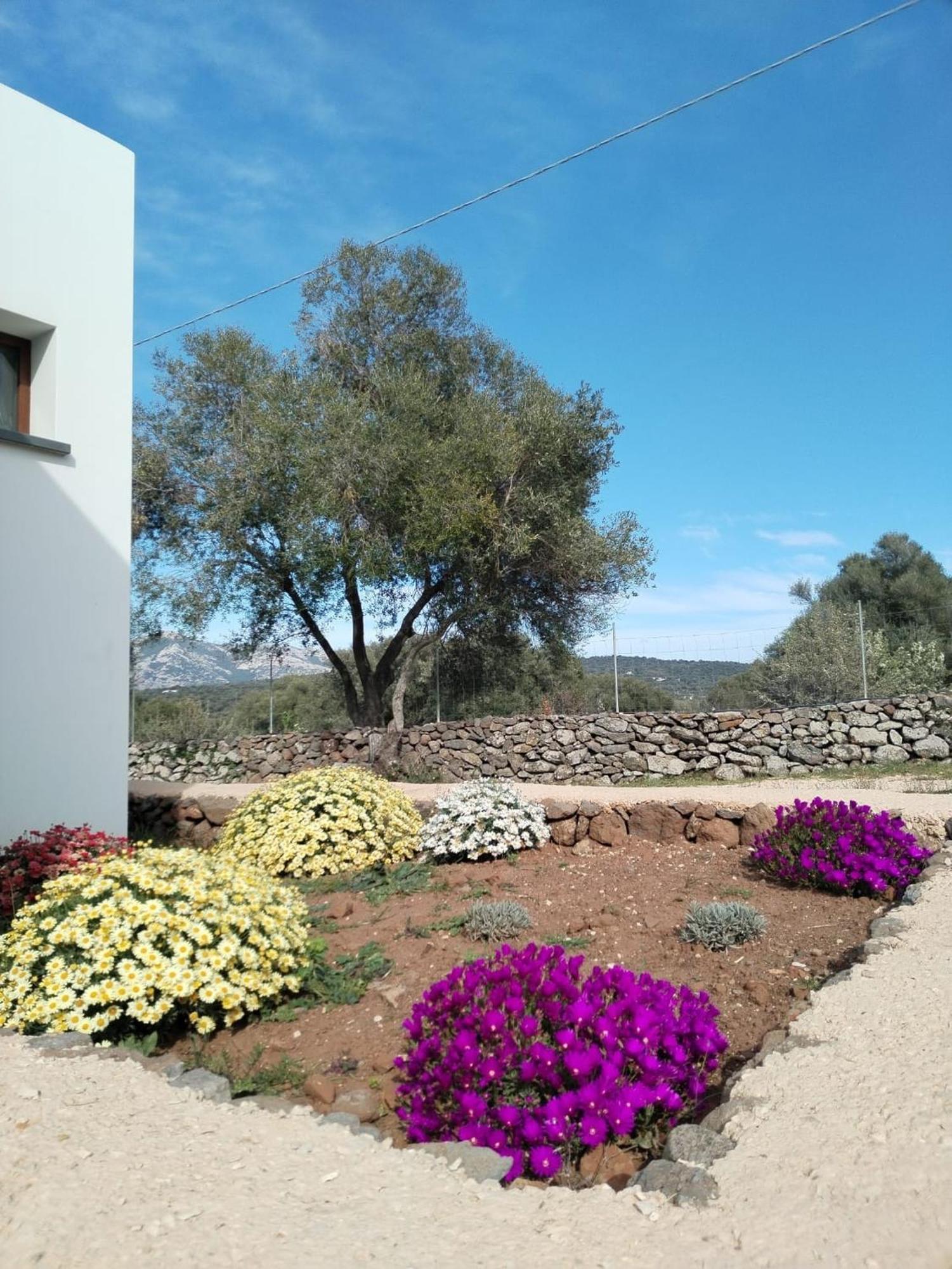 Farmhouse La Croisette - Agriturismo Dorgali Bagian luar foto
